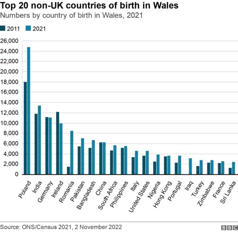 Census births by country in Wales