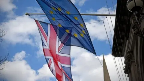 UK and EU flags