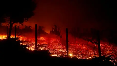 Reuters A vineyard burns overnight during a wildfire that destroyed dozens of homes in Thousand Oaks, California