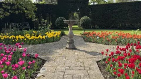 A sundial in the middle of a walk way, it is divided into four quadrants each with different colour tulips. One has red, one pink, one yellow and one orange