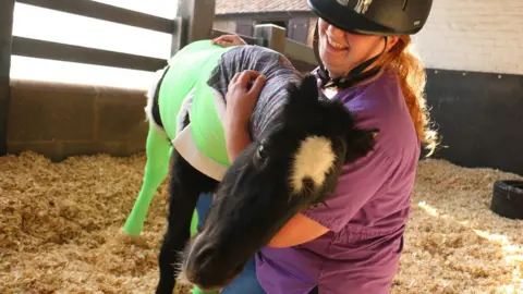 Redwings Horse Sanctuary Phoenix enjoying a cuddle with a carer at Redwings