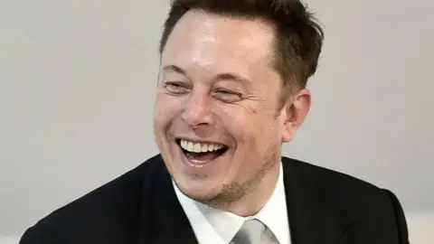 Getty Images Elon Musk said he had been given "verbal government approval" for his plan