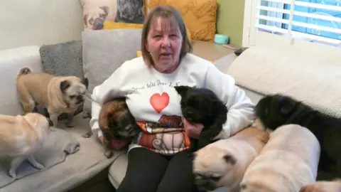 Helping Hands Animal Foodbank Denise Harris with some of her rescue dogs