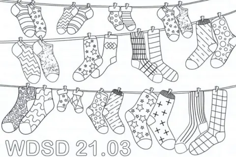 Judith Palmer/Alphatogs Socks poster