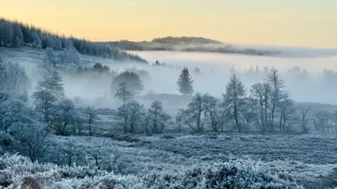 Andy McKay Frosty landscape. The grass and trees are covered with frost and there is mist over the fields. The sky is yellow.