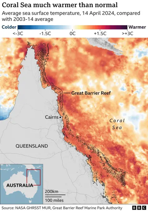coral map