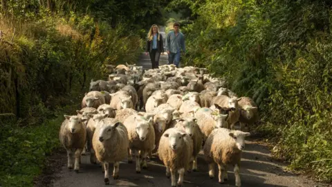 Dartmoor Shepherd Lewis and Flora herding their sheep