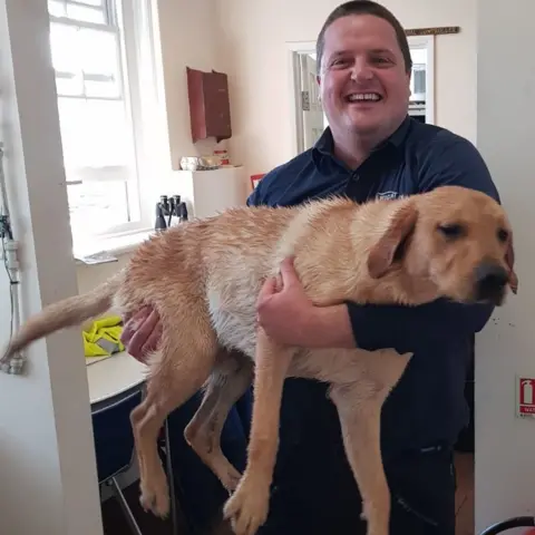 Wightlink Bertie the golden labrador with rescuer Make Parsons