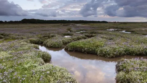 National Trust/Justin Minns Stiffkey Marshes