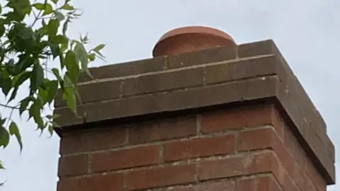 Alison Turian Chimney which an owl fell down