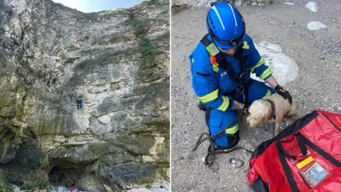 Bridlington Coastguard Rescue Team Cliff rescue