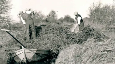 Cambridgeshire Collection Wicken Fen