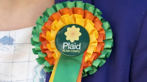 Getty Images Plaid Cymru rosette