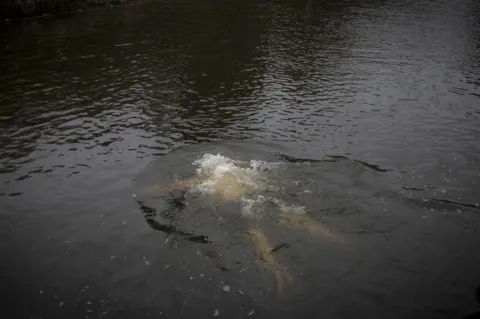 James Beck A person splashes into water