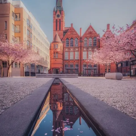 Cherry blossom leaves Birmingham square pretty in pink