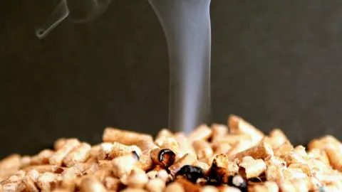 Getty Images Biomass boiler