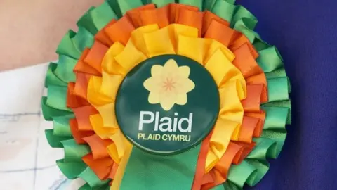 Getty Images Plaid Cymru rosette