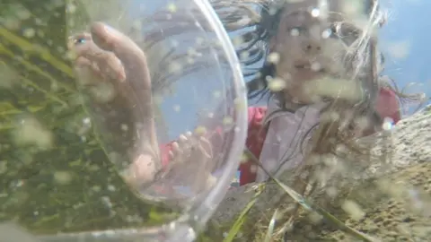 Girl releasing eel into water