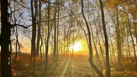 hfarenden SUNDAY - Bracknell Forest