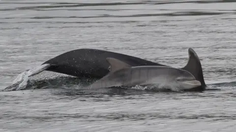 University of Aberdeen Spirtle and mum Porridge in 2012