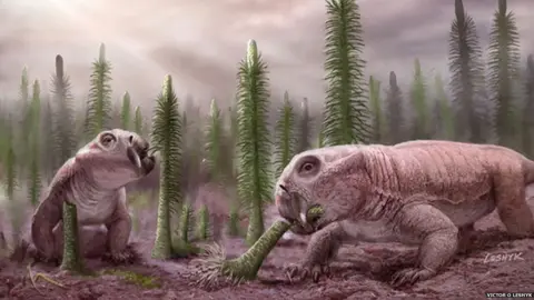 Victor O Leshyk Lystrosaurus, an early relative of mammals