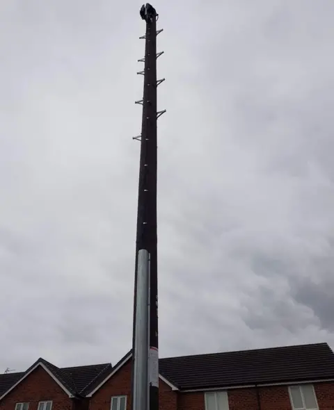 David Brewster Newly erected fibre broadband pole