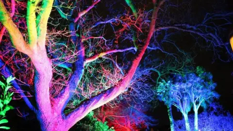 Government of Jersey Dreaming Trees Jersey