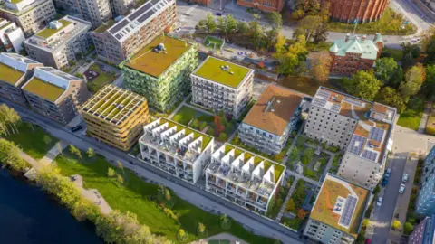 City of Stockholm  An aerial shot of the buildings with grass roofs in Sweden