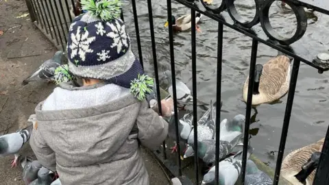 Handout - Janine Marsh A boy feeds ducks in a park