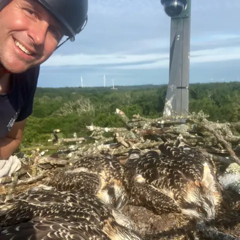 Birds of Poole Harbour Paul Morton peeps into top left hand corner of the picture. He is next to an osprey nest where birds are laying with their heads down.
