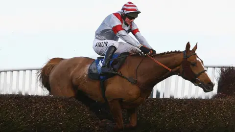 Getty Images Dream Alliance - raised on an allotment and owned by a syndicate of friends paying ten pounds a week - he went on to win the Welsh Grand National in 2009