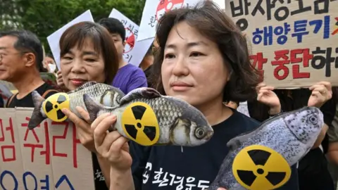 Getty Images South Korean environmental activists hold fish dolls with radioactive signs during a rally against the Japanese government's plan to release waste water from the stricken Fukushima-Daiichi nuclear plant, Seoul, 24 August 2023