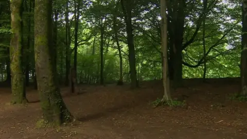 BBC Fforest Fawr