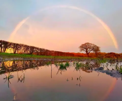 Jack March/BBC Weather Watchers A rainbow over Stockingford. The rainbow is reflected in a puddle of water in a field with a hedgerow in the distance leading to a tree.