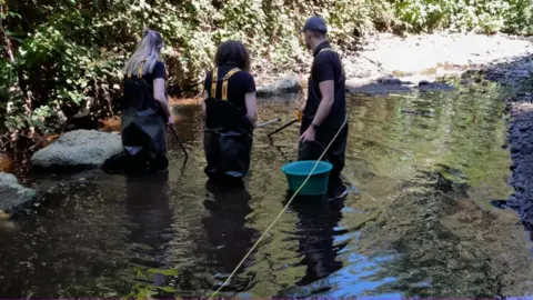 Natural Resources Wales Fish rescue