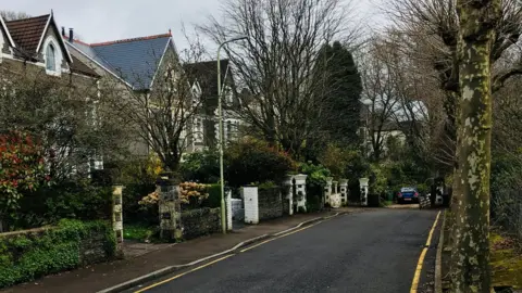 Claire Corbett Tyfica Crescent in Pontypridd which shows detached houses on the road