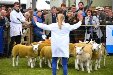 Getty Images Girl herding sheep