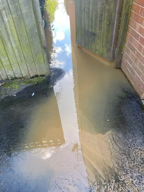Sarah Cargill An image of a pathway through a gate flooded with brown water.