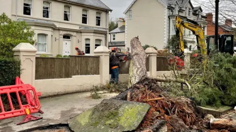 Workmen remove a large fallen tree in a residential area 