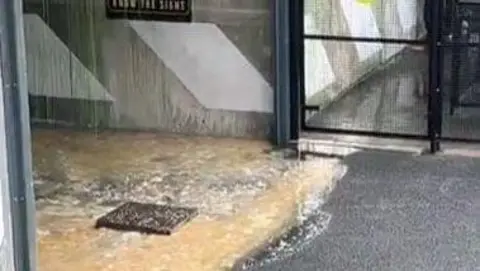 Brown liquid and a drain are pictured. In the background is a black fence.