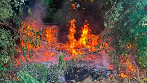 A fire burns though a bush and trees in a small coner of a cricket ground, with a brick wall behind it. There is ash on the floor.