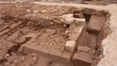 Warwick District Council Close-up on remains