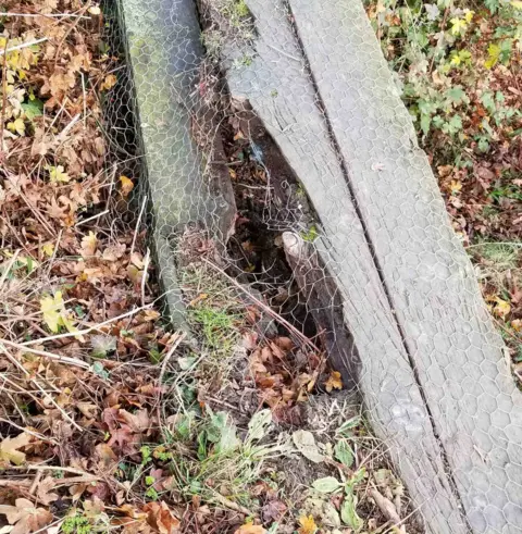 Lucille Whiting A broken plank on the route