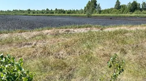 Julian Small Dry grass and peat at Humberhead Peatlands