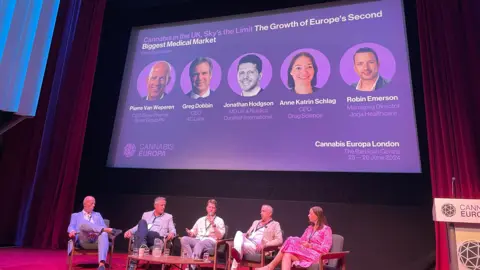 Panel of industry leaders discuss the future of the medical cannabis market on stage at the Barbican