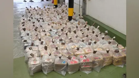 Plastic bags are secured around piles of drugs that appear to be wrapped in brown paper