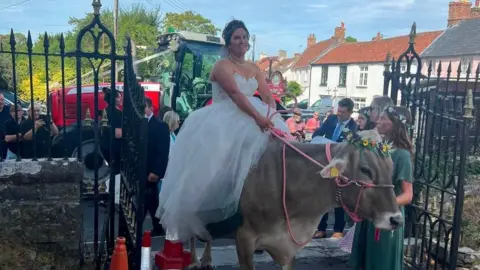 Bride in white wedding dress arriving at a church gate while riding a pale-coloured cow. The cow has a flower garland on its head. A red Massey-Ferguson tractor festooned with ribbons can be seen behind her.