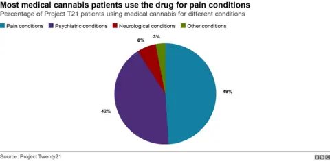 Pie chart showing the percentage of patients that use medical cannabis for different conditions