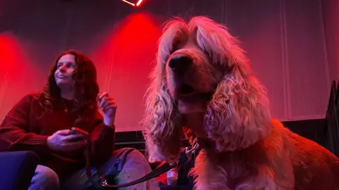 A dog and its owner wait by a theatre stage for their turn to audition, red florescent lights shine along the back wall