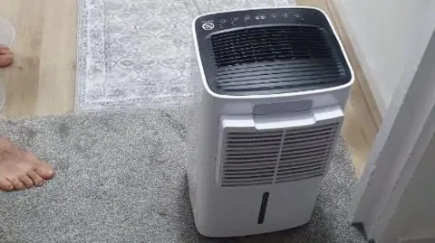 A de humidifying machine in the flat, with rug in the background.